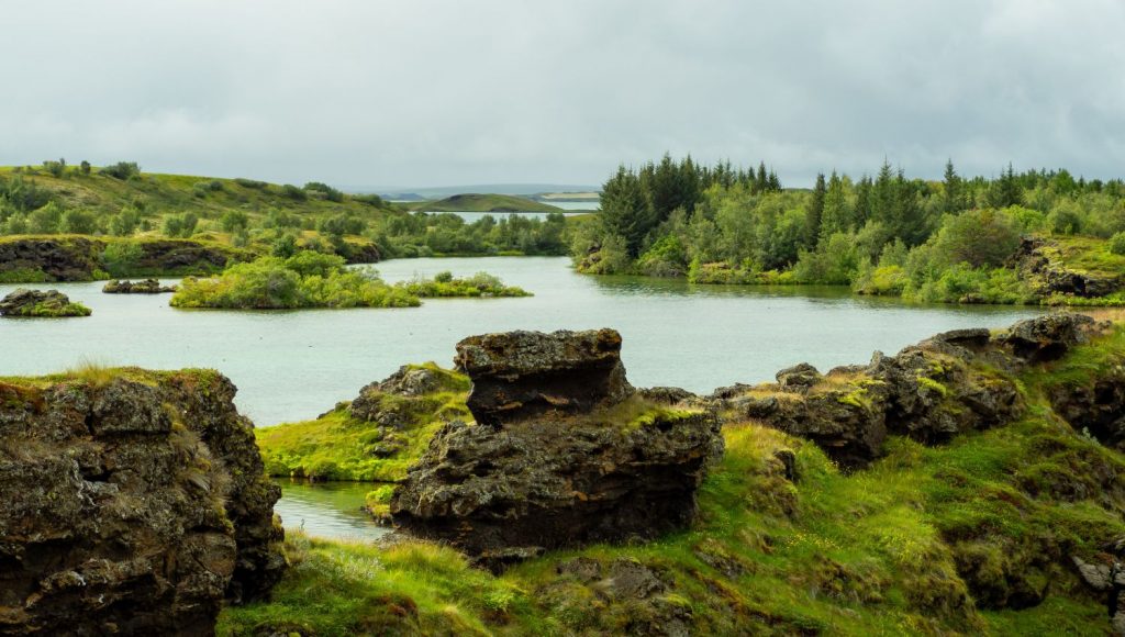 iceland forests and lakes