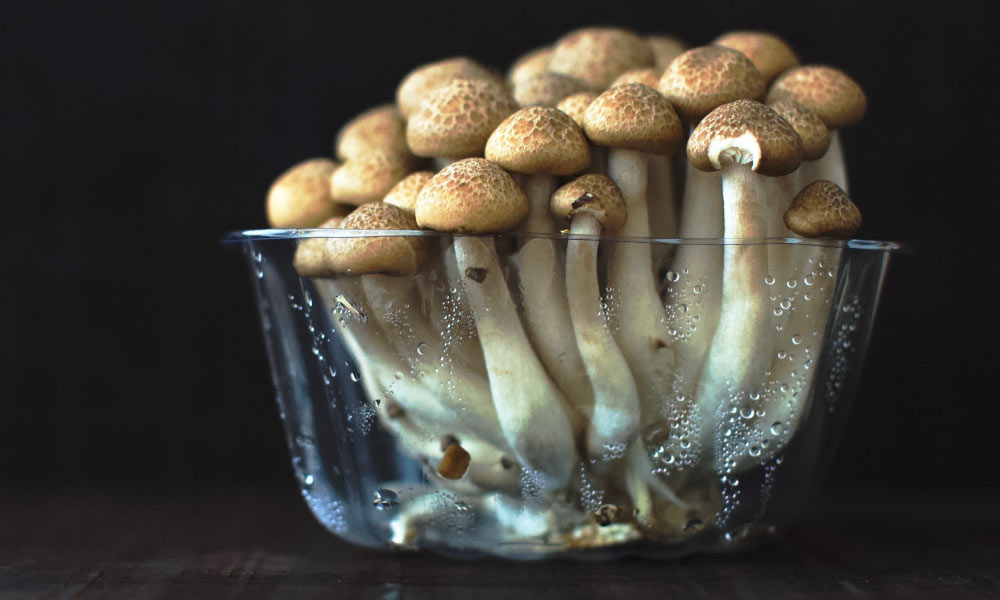 mushrooms as food